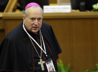Los obispos norteamericanos, “fríos” ante el cardenal elegido por Francisco