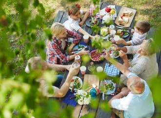 “Familias, criad lombrices”: el Vaticano quiere salvar así el planeta