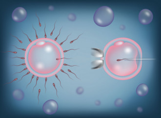 ¿Y si la fecundación in vitro se convirtiera en la primera opción?