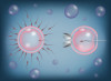 ¿Y si la fecundación in vitro se convirtiera en la primera opción?