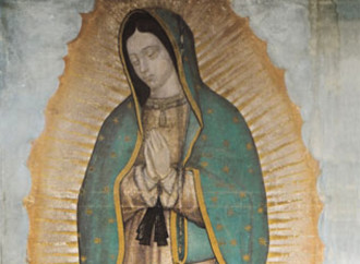 Nuestra Señora de Guadalupe: la armonía celestial en la tilma