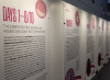 La exposición sobre el feto humano que la izquierda teme