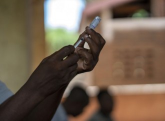 La vacuna contra la malaria, el éxito tras el fracaso